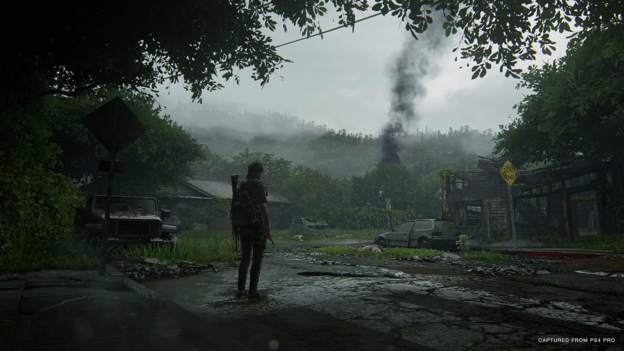 Get this stunning The Last of Us 2 dynamic PS4 theme for free