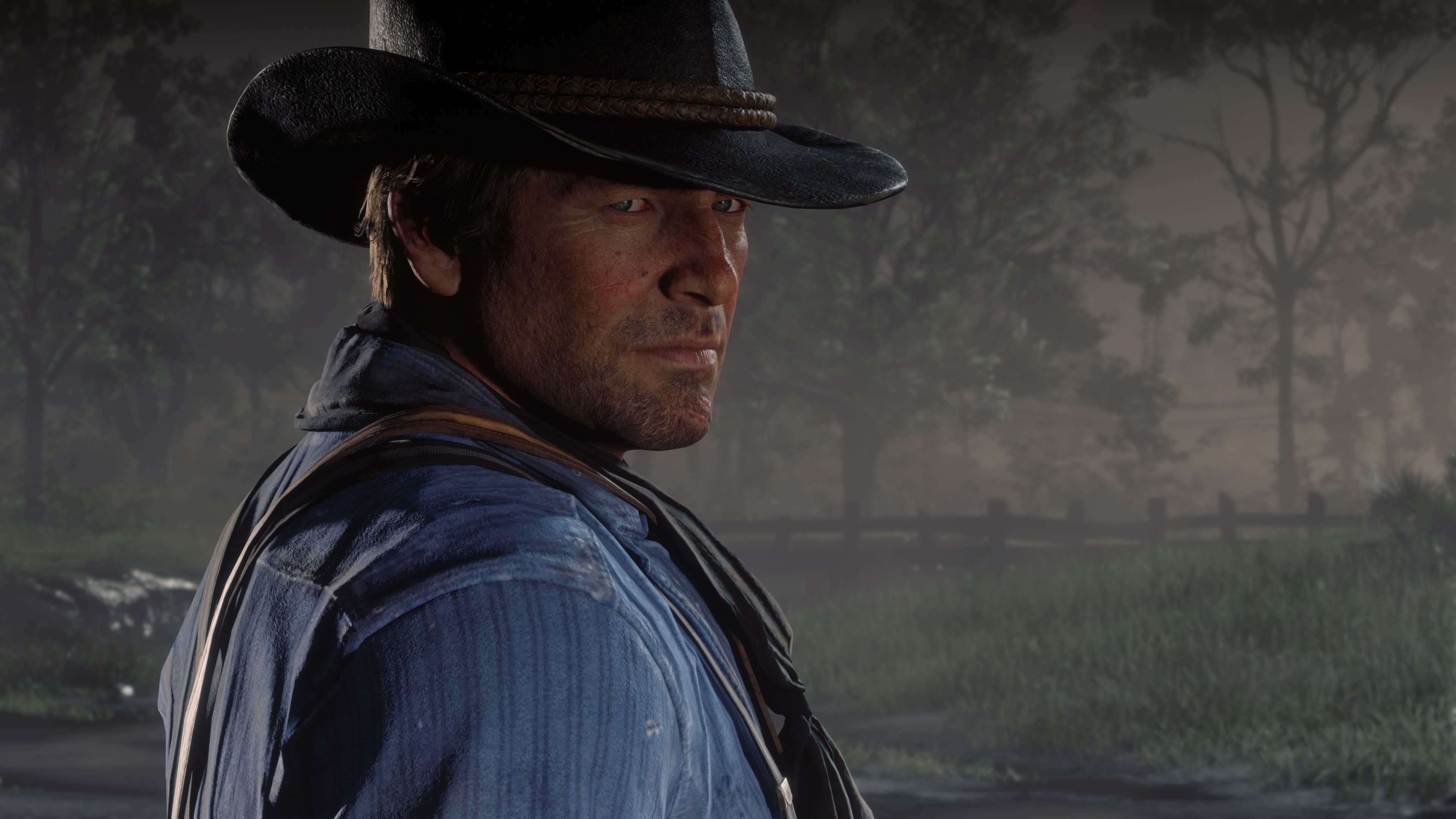 To Use Red Dead Redemption 2 Photo PC