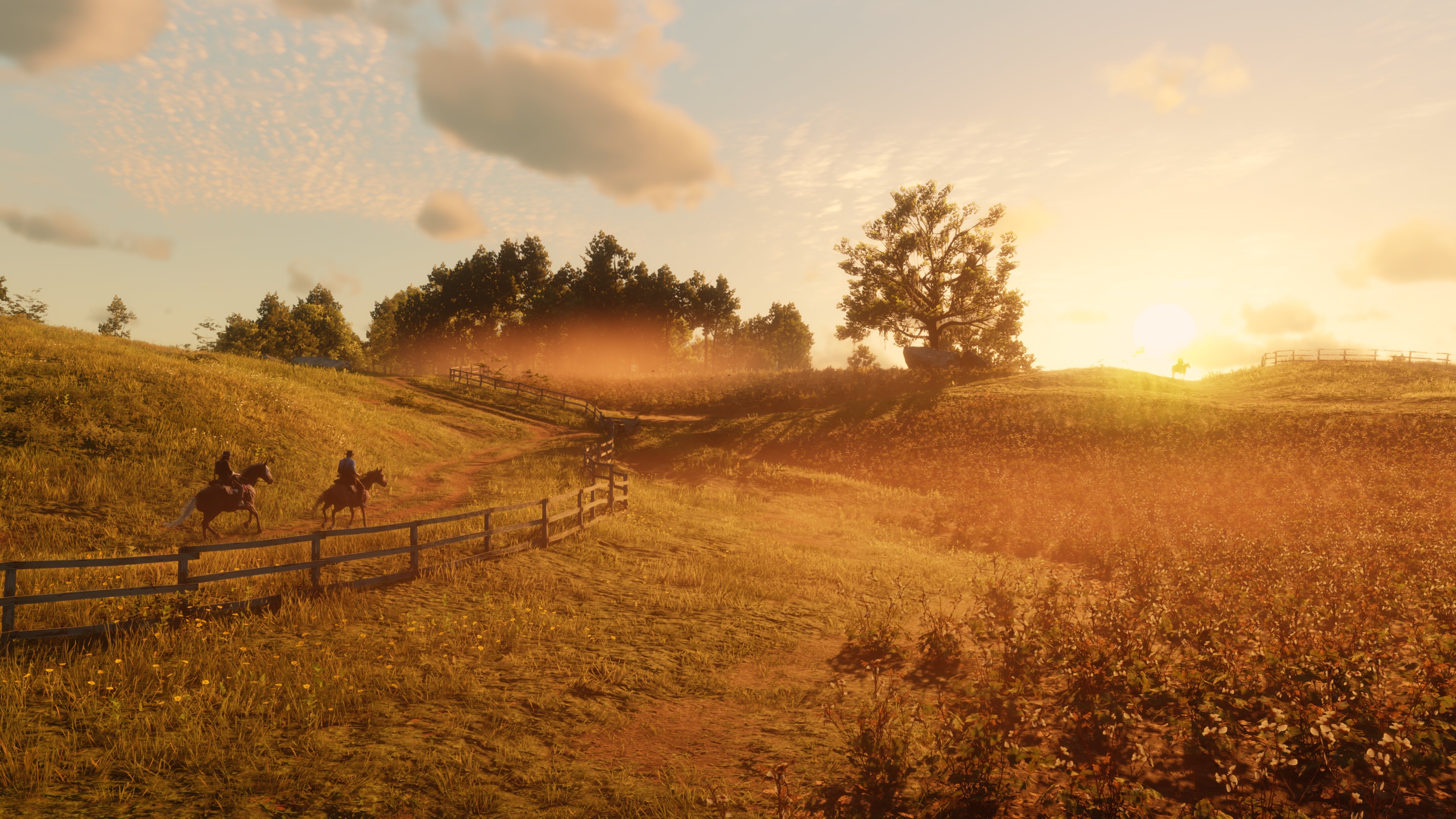 red dead redemption 2 pc photo mode