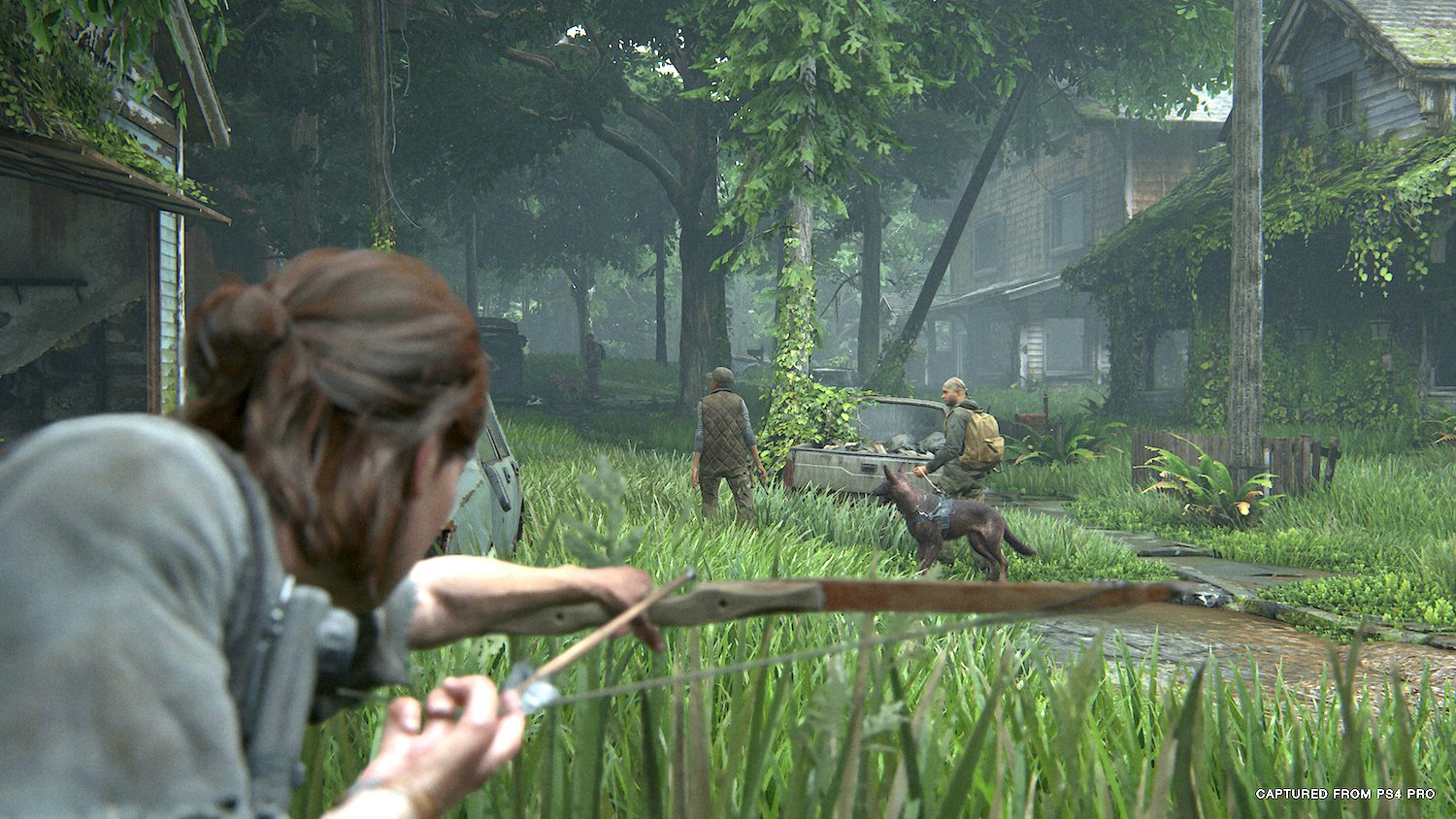 The Last of Us II, Parte 2, PREMIUM