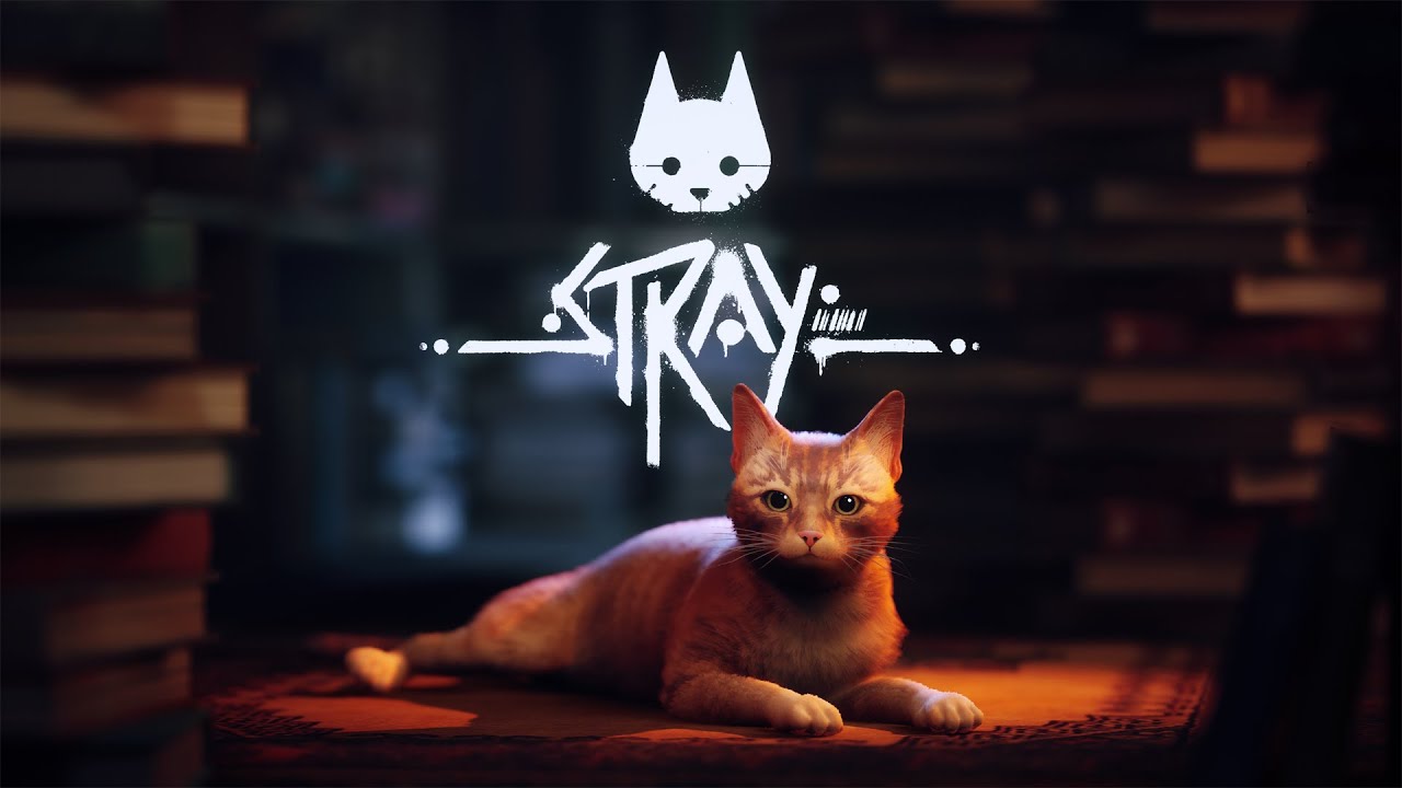 Stray PS5