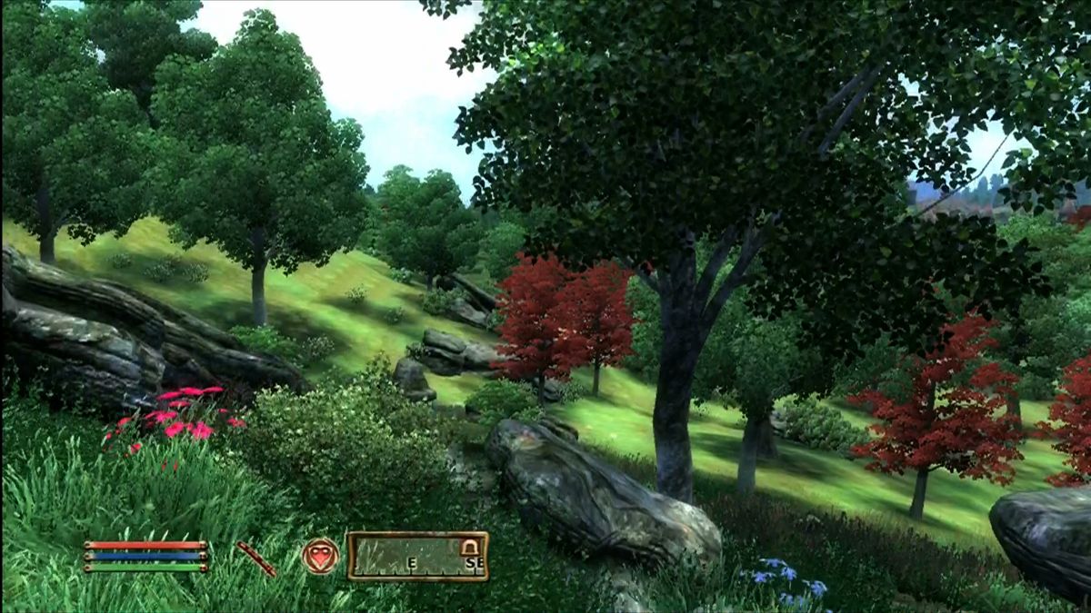 The elder scrolls iv oblivion remake release