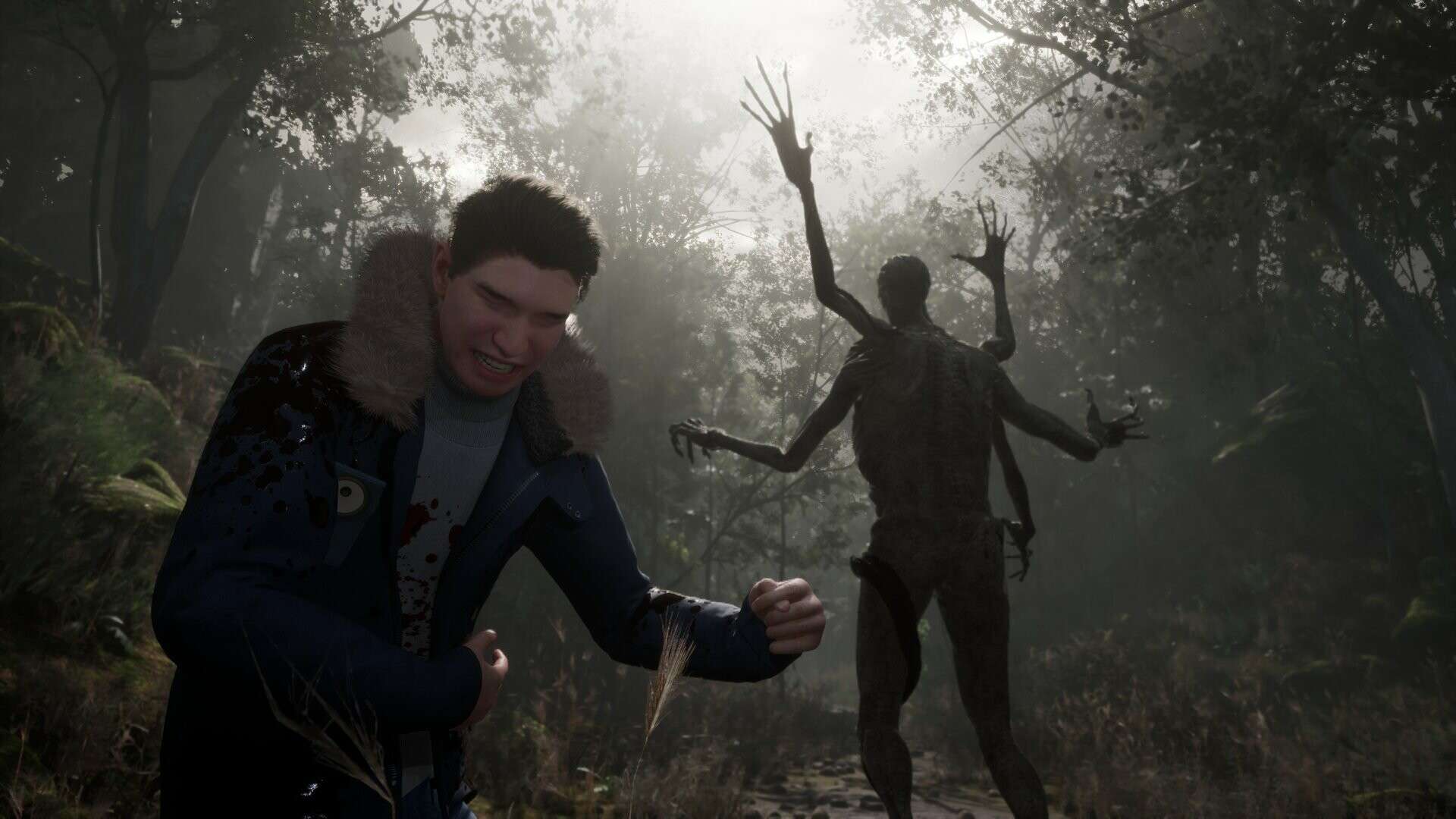 Stray souls developer