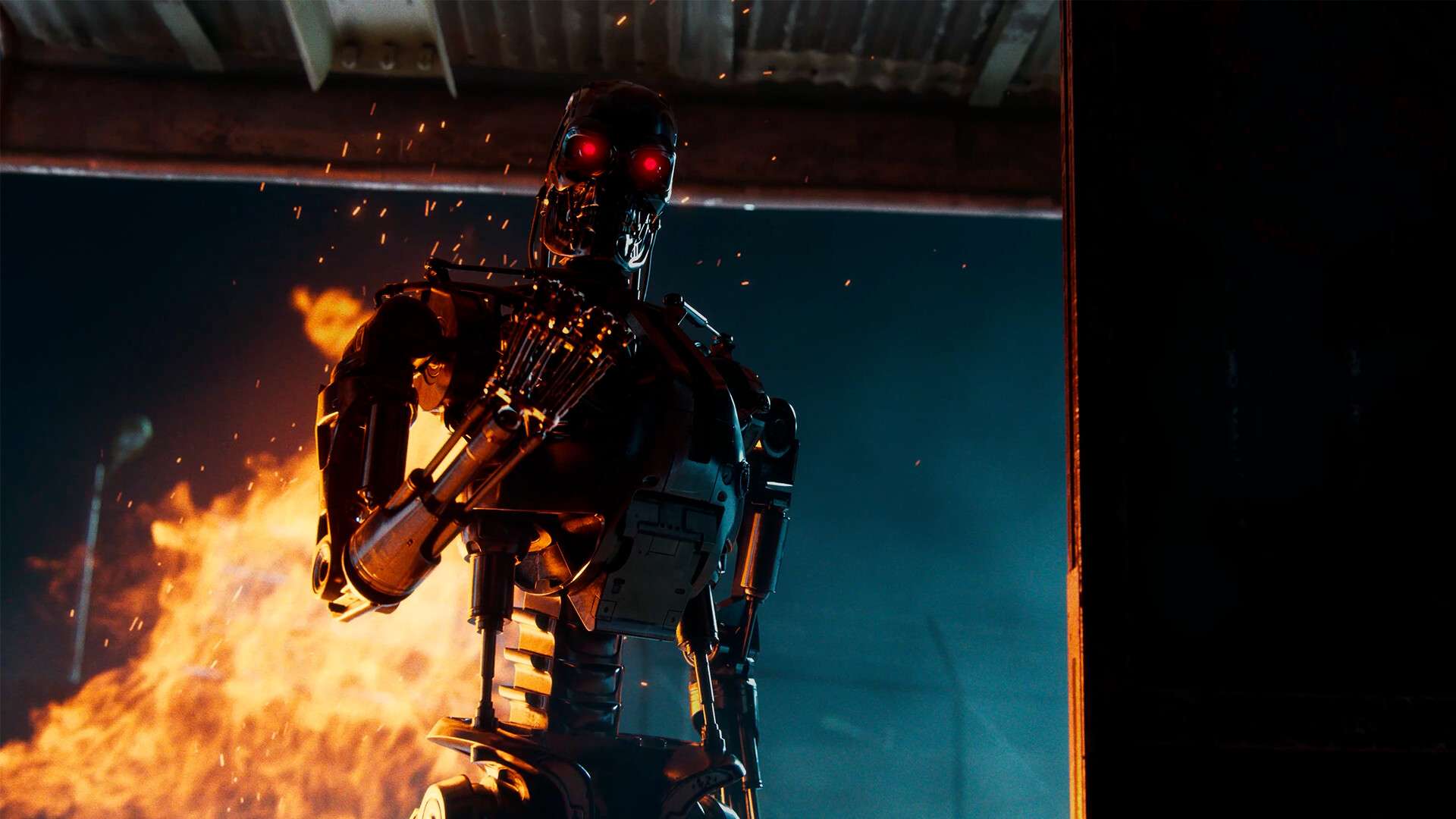 Terminator survivors