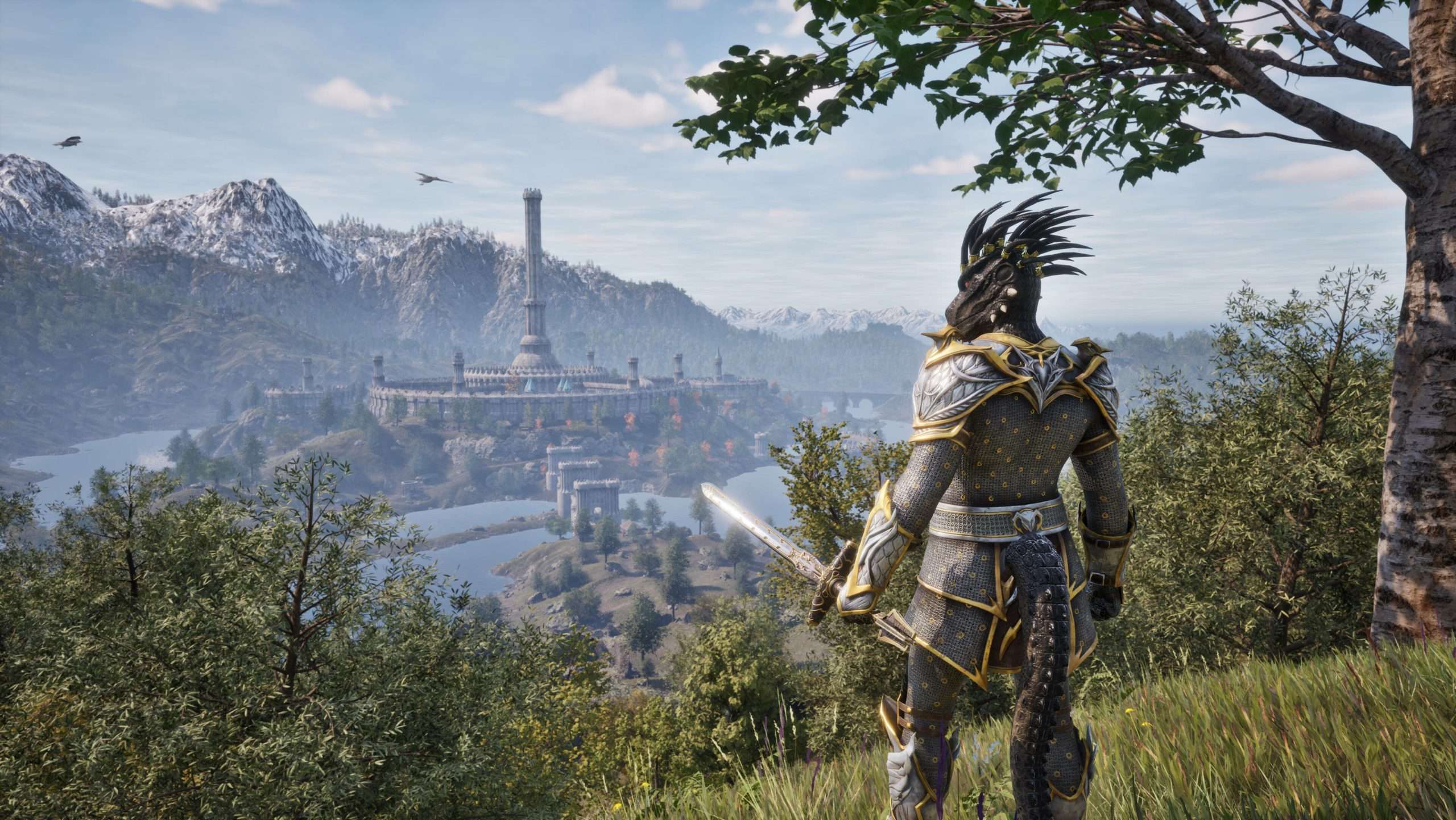 The elder scrolls unannounced game